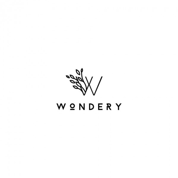 Wondery  logo  design