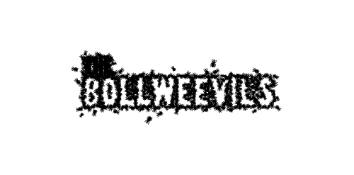 The Bollweevils