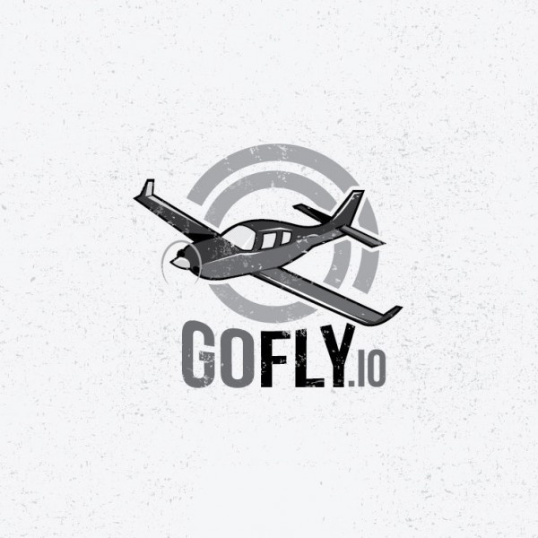 GoFly.io  logo  design